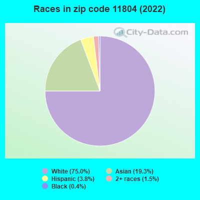 Races in zip code 11804 (2022)