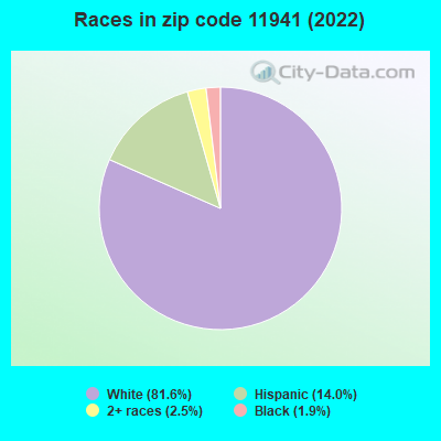 Races in zip code 11941 (2022)