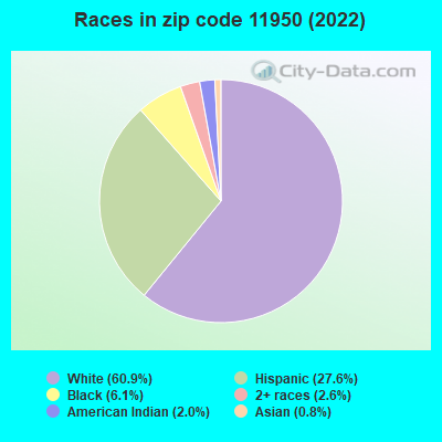 Races in zip code 11950 (2022)