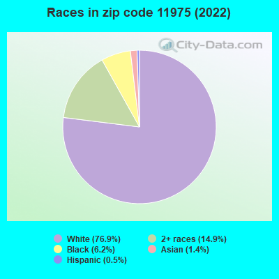 Races in zip code 11975 (2022)