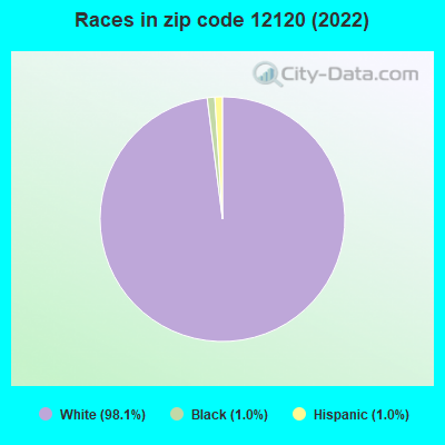 Races in zip code 12120 (2022)