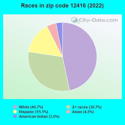 Races in zip code 12416 (2022)