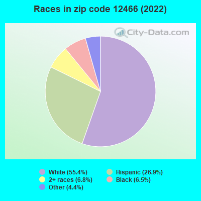 Races in zip code 12466 (2022)