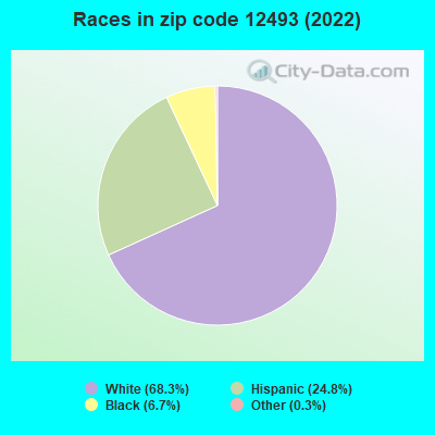 Races in zip code 12493 (2022)