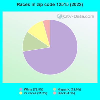 Races in zip code 12515 (2022)