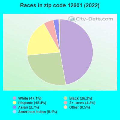 Races in zip code 12601 (2022)