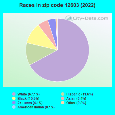 Races in zip code 12603 (2022)