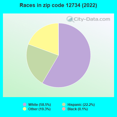 Races in zip code 12734 (2022)