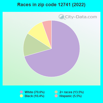 Races in zip code 12741 (2022)