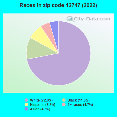 Races in zip code 12747 (2022)