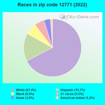 Races in zip code 12771 (2022)