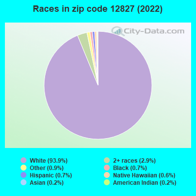 Races in zip code 12827 (2022)