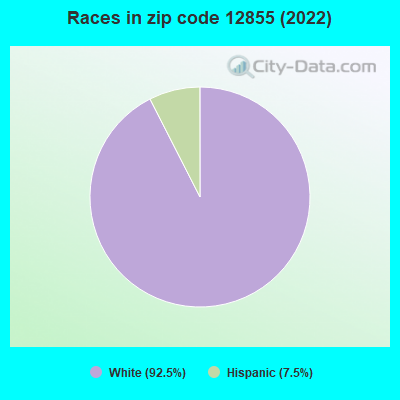 Races in zip code 12855 (2022)