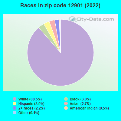 Races in zip code 12901 (2022)