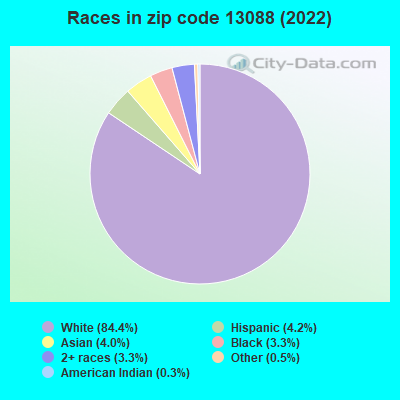 Races in zip code 13088 (2022)