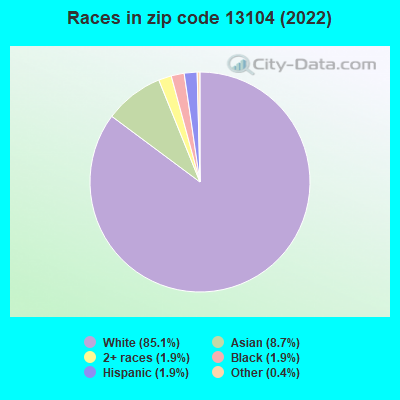 Races in zip code 13104 (2022)