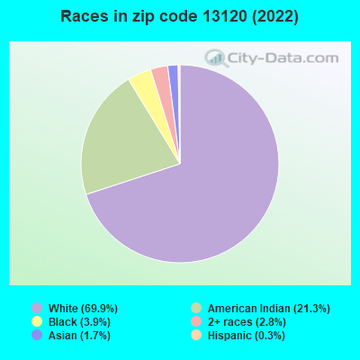 Races in zip code 13120 (2022)