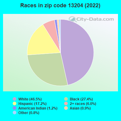 Races in zip code 13204 (2022)