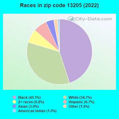 Races in zip code 13205 (2022)