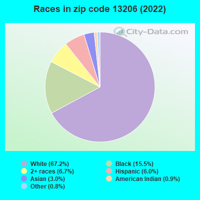 Races in zip code 13206 (2022)