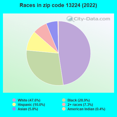 Races in zip code 13224 (2022)