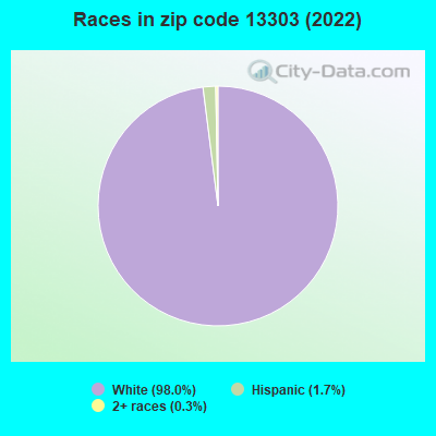 Races in zip code 13303 (2022)