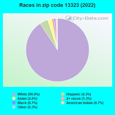 Races in zip code 13323 (2022)