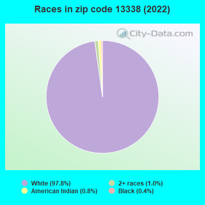 Races in zip code 13338 (2022)