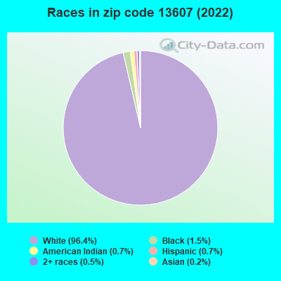 Races in zip code 13607 (2022)