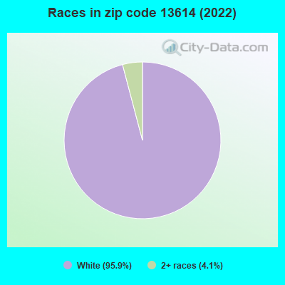Races in zip code 13614 (2022)