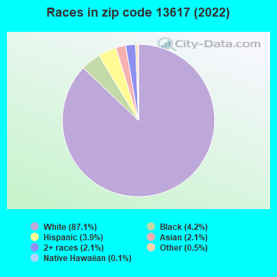 Races in zip code 13617 (2022)