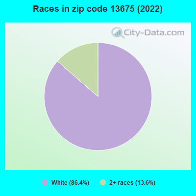 Races in zip code 13675 (2022)