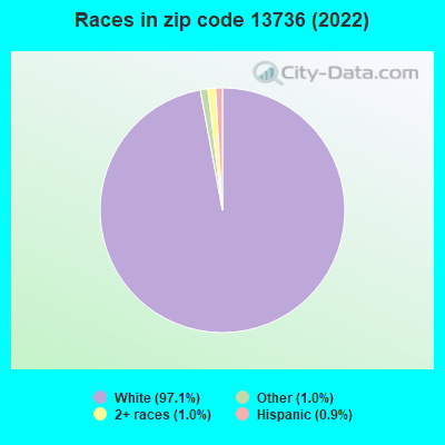 Races in zip code 13736 (2022)
