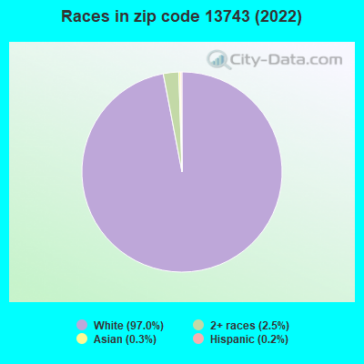 Races in zip code 13743 (2022)