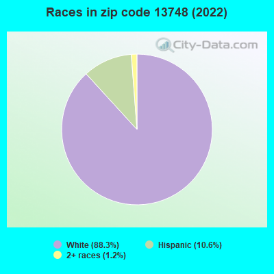 Races in zip code 13748 (2022)