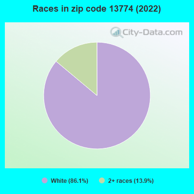 Races in zip code 13774 (2022)