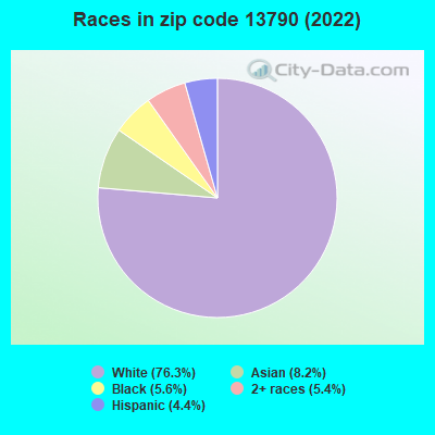 Races in zip code 13790 (2022)