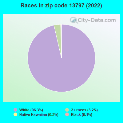 Races in zip code 13797 (2022)