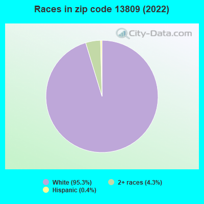 Races in zip code 13809 (2022)