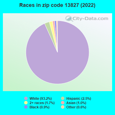 Races in zip code 13827 (2022)