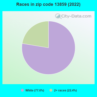 Races in zip code 13859 (2022)