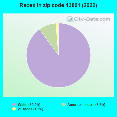Races in zip code 13861 (2022)