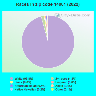 Races in zip code 14001 (2022)