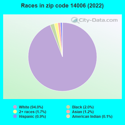 Races in zip code 14006 (2022)