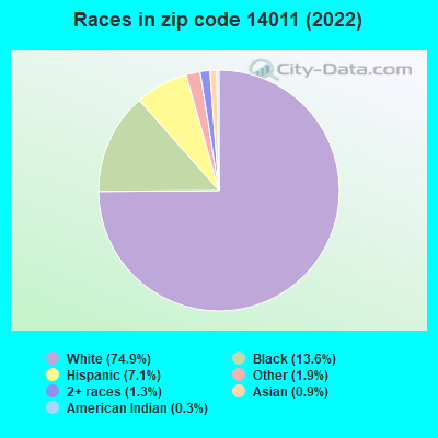 Races in zip code 14011 (2022)