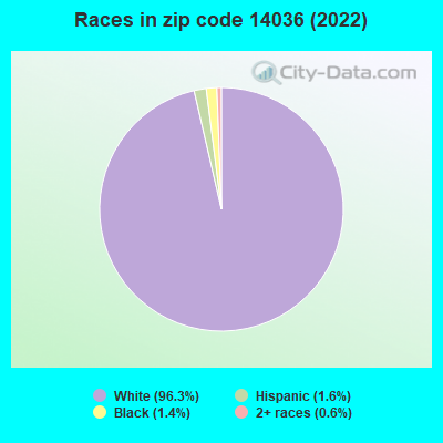 Races in zip code 14036 (2022)