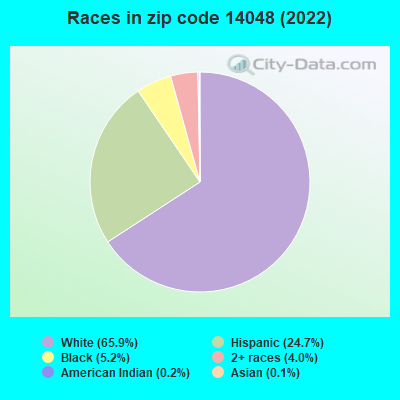 Races in zip code 14048 (2022)
