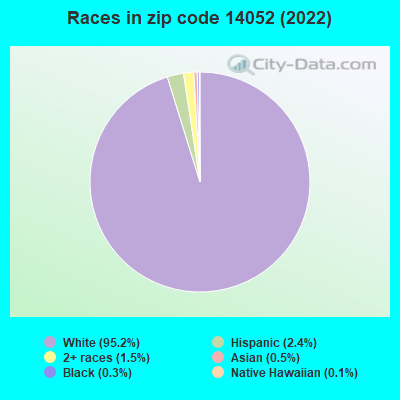 Races in zip code 14052 (2022)