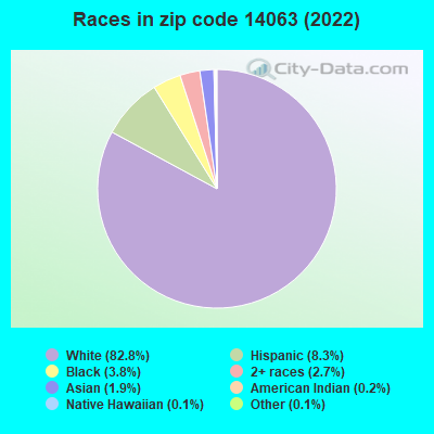 Races in zip code 14063 (2022)