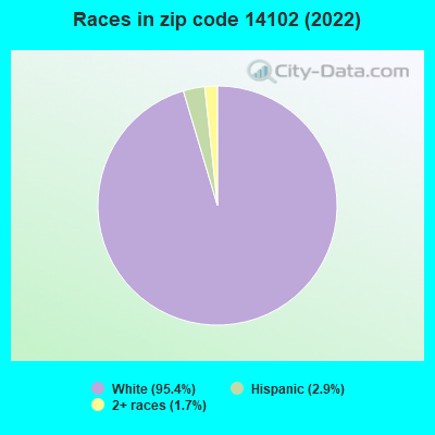 Races in zip code 14102 (2022)